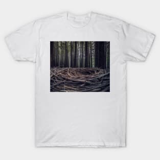 Redwood Fairy Circles T-Shirt